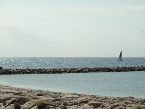 Apartamento muy centrico y 2 linea de playa Apartamento muy centrico y 2 linea de playa