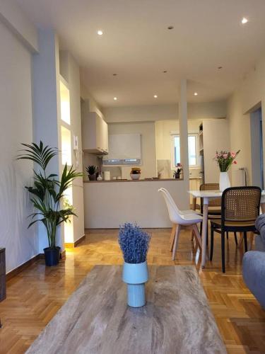 2 bd renovated flat at acropolis, Atény