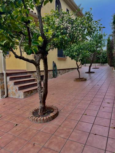 El Carmen, Córdoba (Foto 10)