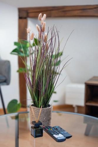 Spacious Apartment near Roche and Tinguely - Special ROGER F RABBIT 4 Apartment, Basel, up to 6 guests, Bâle (photo 11)