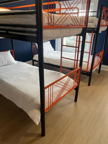 Astra Hostel, Dublín (foto 9)