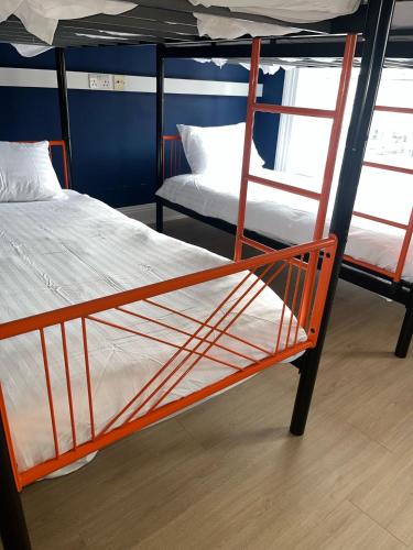 Astra Hostel, Dublín (foto 8)