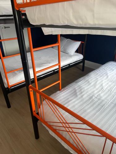 Astra Hostel, Dublín (foto 7)