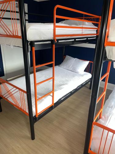 Astra Hostel, Dublín (foto 6)