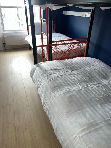 Astra Hostel, Dublín (foto 10)