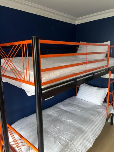 Astra Hostel - image 4