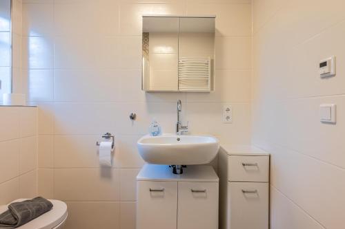 Apartment with Terrace image 8
