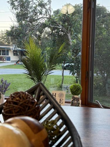The Cozy Lake House in Auburndale (Florida)