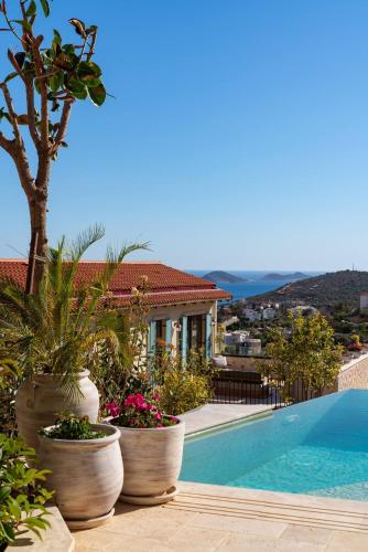 Calliope, Epic Elegance Retreat, Kaş (zdjęcie 3)