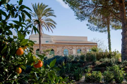 Resort Fontes Episcopi - 숙소 외관