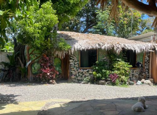 Cahuita Vibe in กาอุยตา
