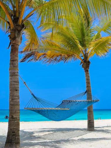 Alrededores, Zanzibar Town Nest Hotel in Zanzibar