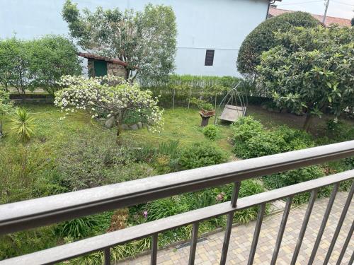 Bed & Breakfast L'Albero Maestro