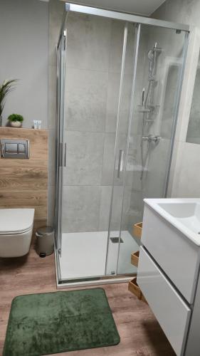 Apartament Gamma Zwycięska Wrocław, Breslau (Foto 8)