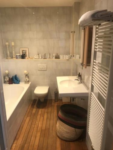 Stylish & Spacious Flat viewing the Lovely MAS, Amberes (foto 11)