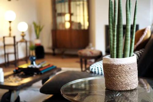 Stylish & Spacious Flat viewing the Lovely MAS, Amberes (foto 4)