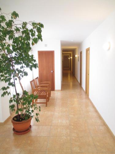 Hostal Residencia Nicolau - main image