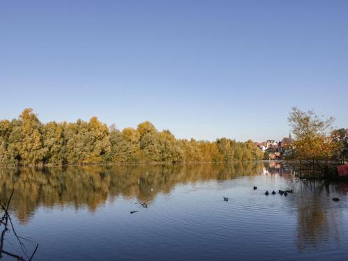 45 Brook Lane - image 2