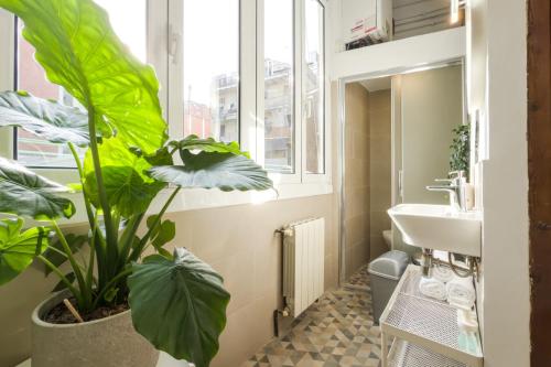 Flat Poble Sec Magalhaes/Apartment - image 14