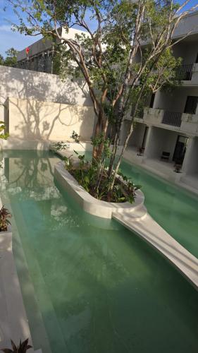 Depa Relax Star in Tulum