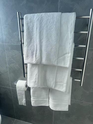 Two Bedroom Apartment, Окленд (фото 8)