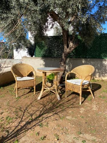 Embrace the Sea and Nature in Didim Akbük! Embrace the Sea and Nature in Didim Akbük!