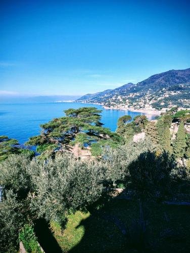 La CONCHIGLIA Bed & Breakfast 5
