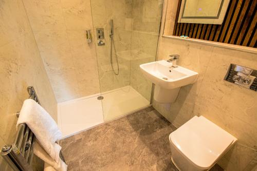Sandyford Lodge - image 13