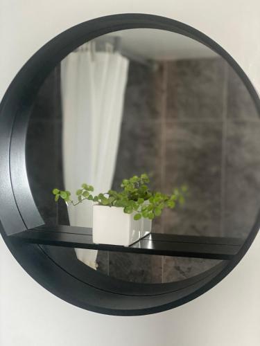 Studio 114 in Newport South