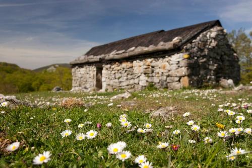 Casa Rural Etxegorri - image 5