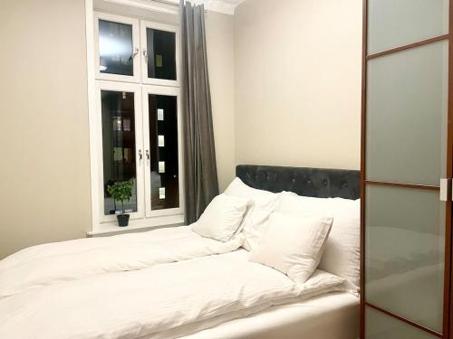 4 bed riverside apt, Oslo (photo 10)