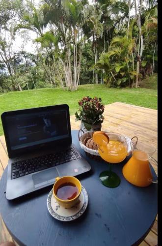 Garden, Cabana Palm House in São Pedro De Alcântara