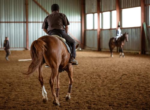 Palazzo D'Alessandro Wunderkammer & Suites B&B di charme