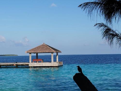 PRIV Fodhdhoo- BEACH Hotel in Noonu Atoll