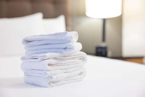 Drury Inn & Suites Amarillo - image 10