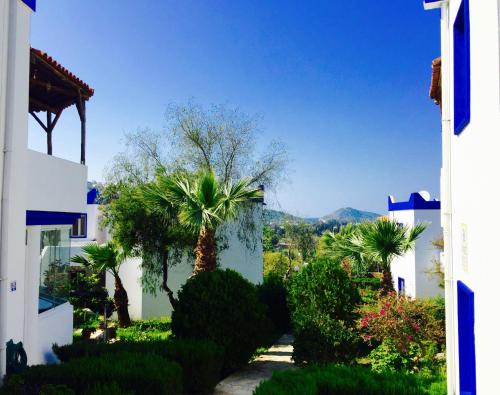 My House Bodrum Holiday Village In Turgutreis Turkey Reviews Price From 67 Planet Of Hotels