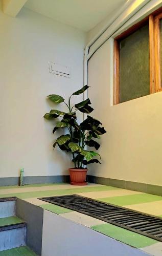 Hotelli välisilme, Departamento cómodo en Oruro (Departamento comodo en Oruro) in Oruro