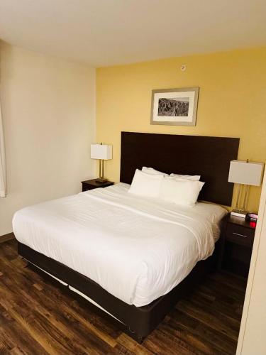 Efficiency King Suite - Accessible/Non-Smoking image 2
