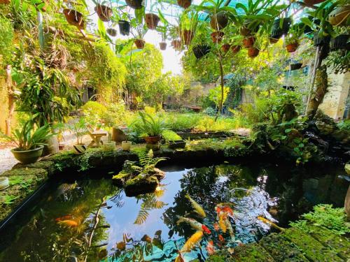 Surrounding environment, Đuong Lam Homestay - Elephant's House near Duong Lam Village