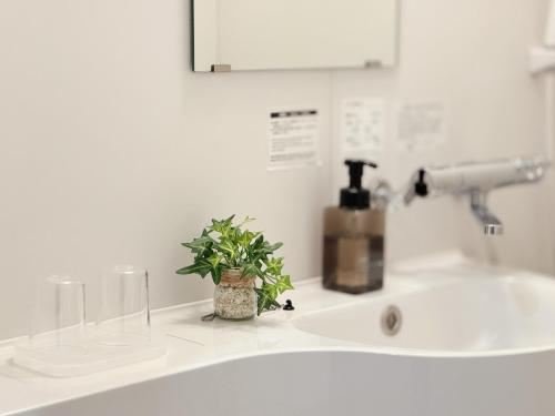 Fawn Hotel Room Type - Standard Twin Room