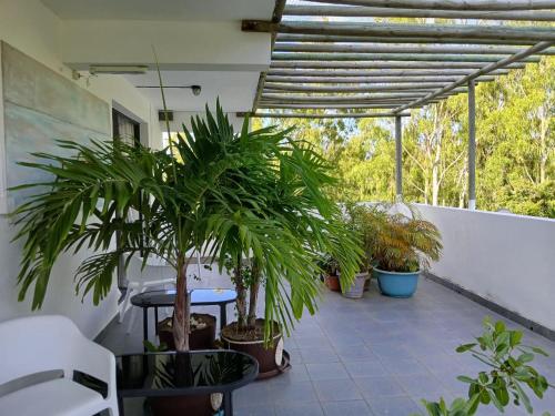 Mamy Cherie in Pulau Rodrigues