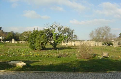 Quinta Do Scoto - image 8