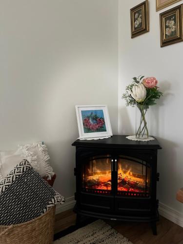 Wallawa on Hilltop, Ellesmere (fotografie 4)