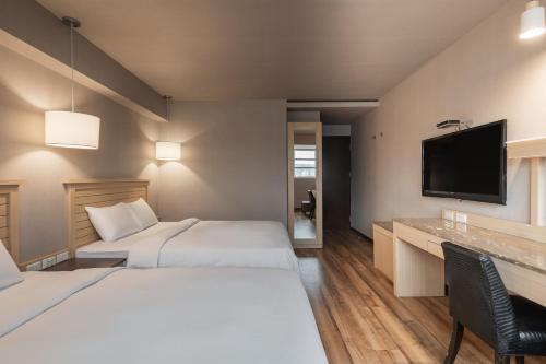 Standard Quadruple Room image 5