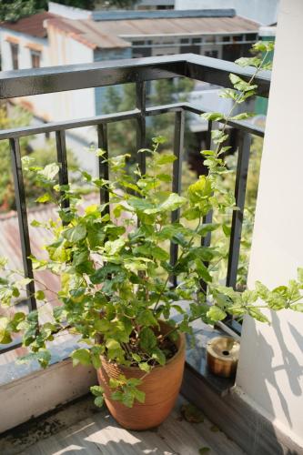 Double Room with Balcony image 7