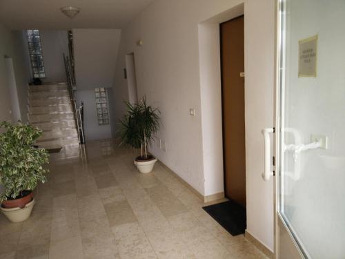 Apartment Mihaela - image 5