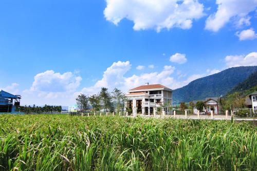 淺藏民宿-風歌 淺藏民宿-風歌