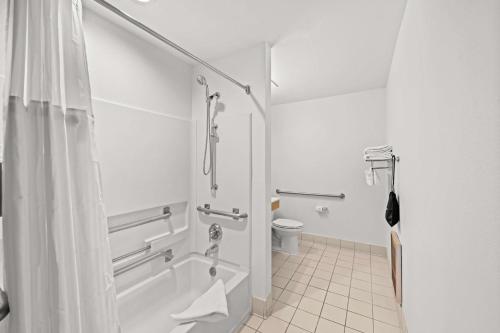 Comfort Inn & Suites Airport Dulles-Gateway - image 10