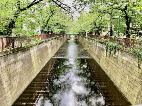 A Cosy Daikanyama Stay at the Anime Sanctuary