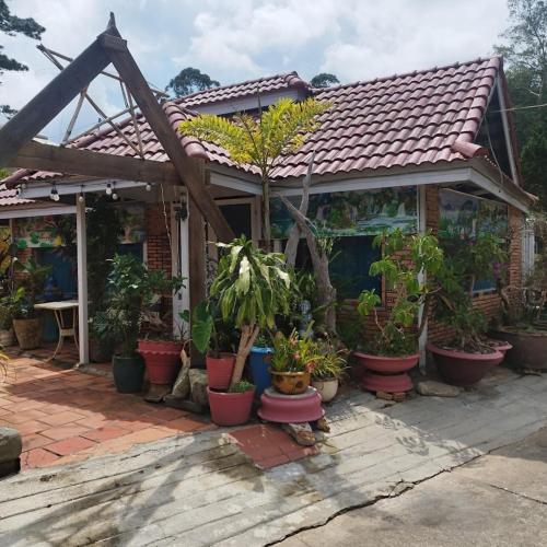 Hoa Chuông Villa Đà Lạt - 숙소 외관